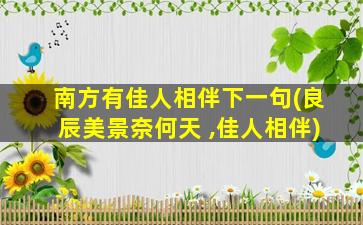 南方有佳人相伴下一句(良辰美景奈何天 ,佳人相伴)